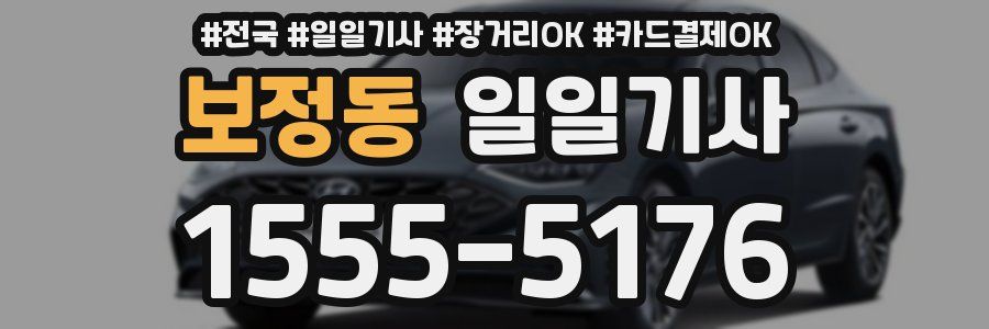 보정동 일일기사