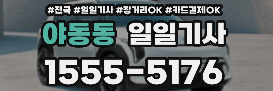 야동동 일일기사