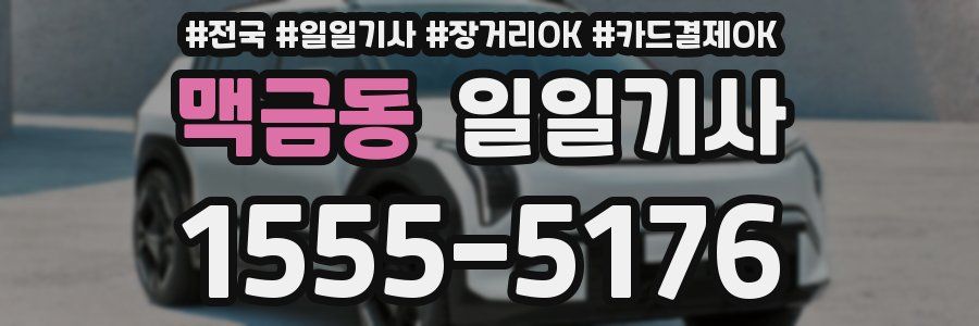 맥금동 일일기사