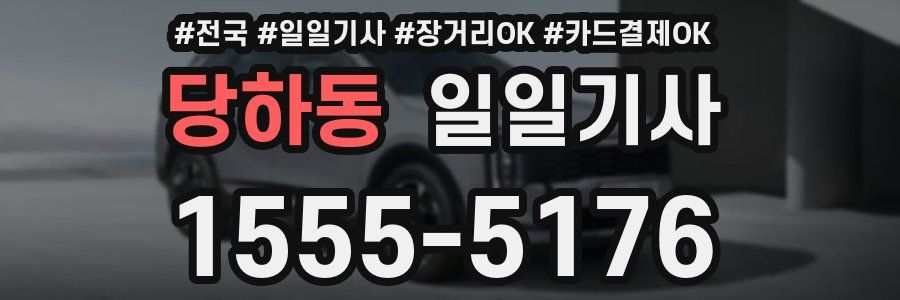 당하동 일일기사