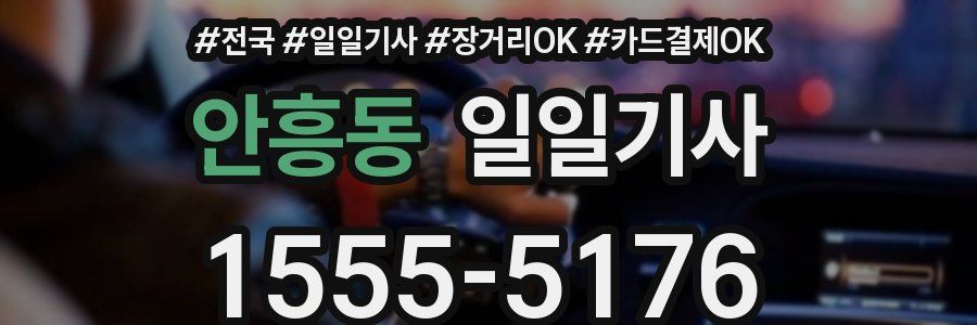 안흥동 일일기사