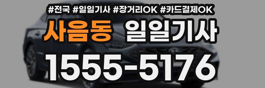 사음동 일일기사