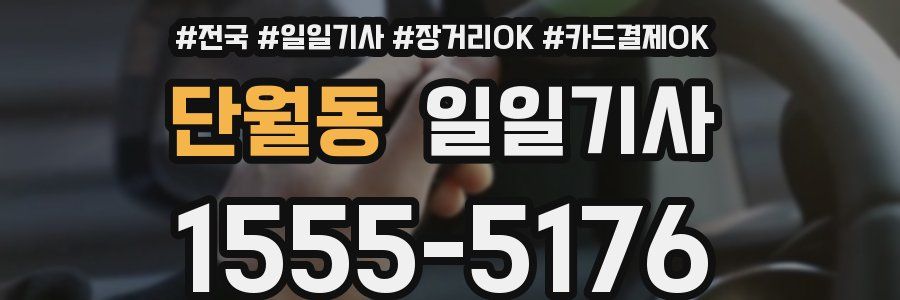 단월동 일일기사