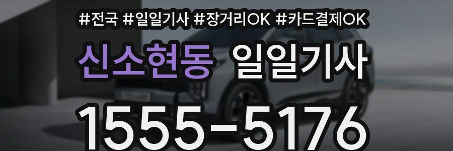 신소현동 일일기사