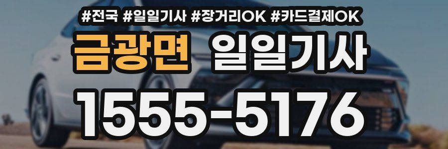 금광면 일일기사