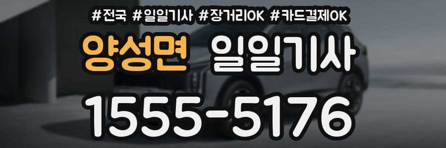 양성면 일일기사