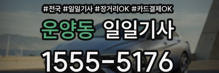 운양동 일일기사