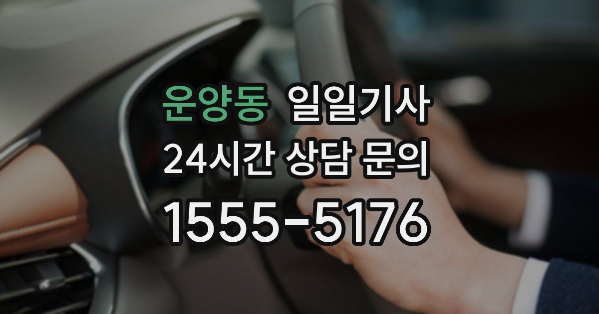 일일대리기사