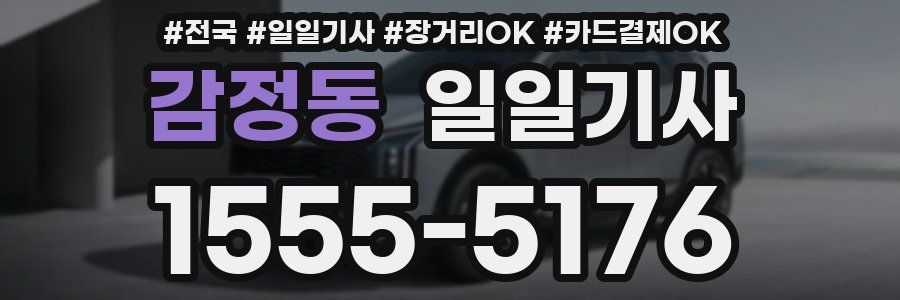 감정동 일일기사