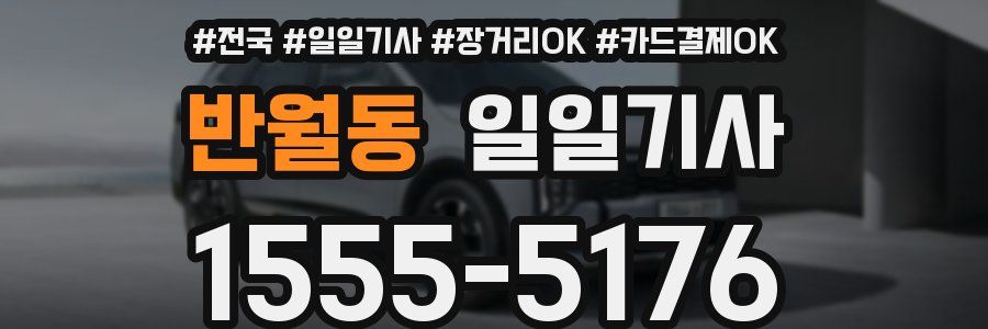 반월동 일일기사