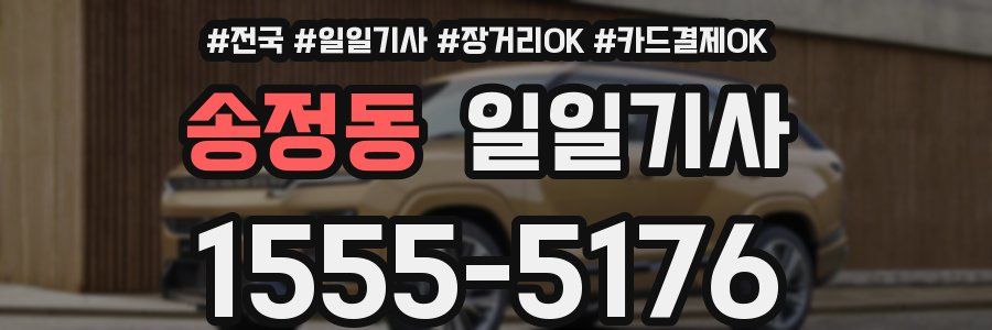 송정동 일일기사