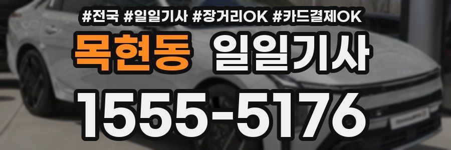 목현동 일일기사