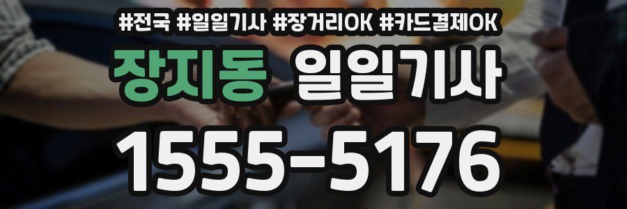 장지동 일일기사