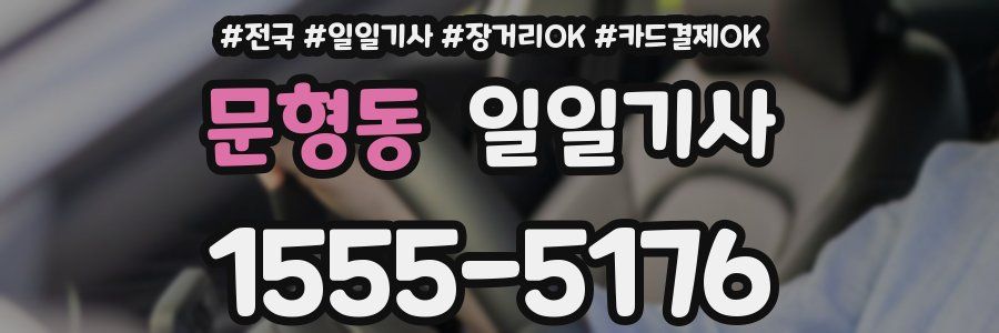 문형동 일일기사