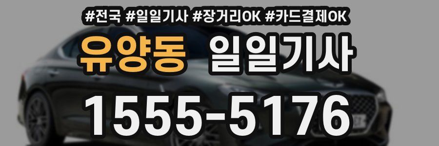 유양동 일일기사