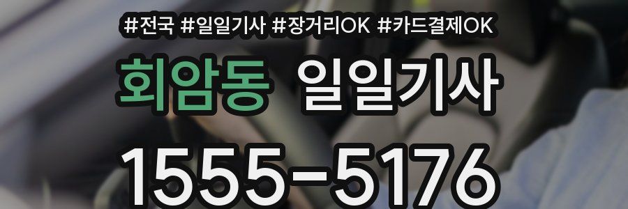 회암동 일일기사