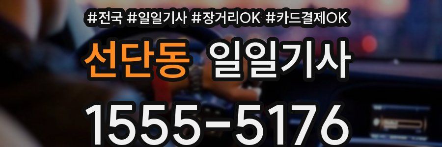 선단동 일일기사