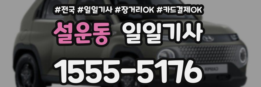 설운동 일일기사