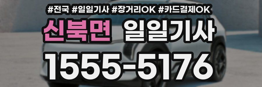 신북면 일일기사