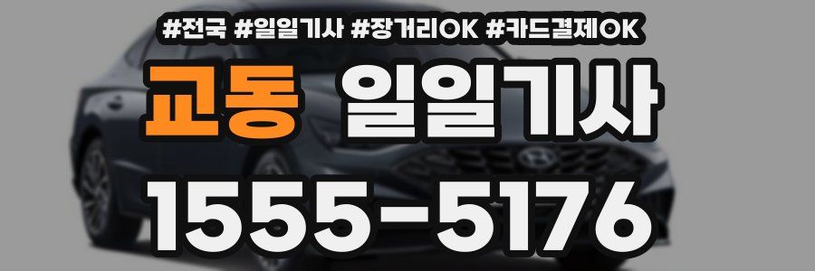 교동 일일기사