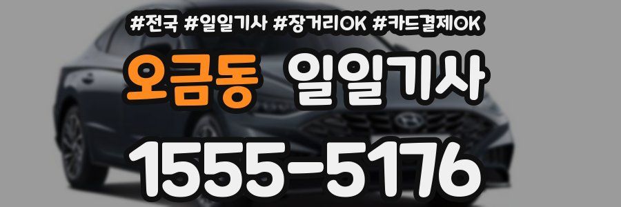오금동 일일기사