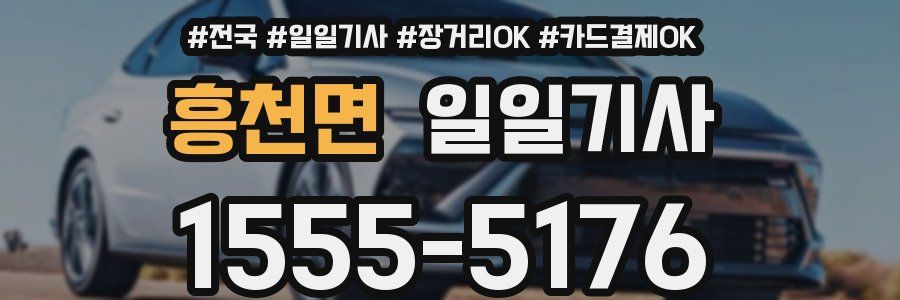 흥천면 일일기사