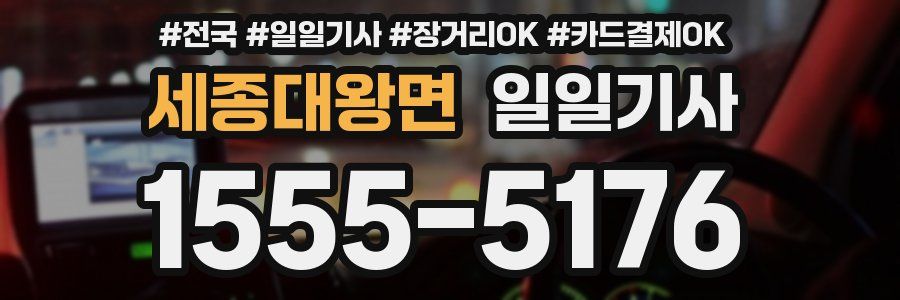 세종대왕면 일일기사