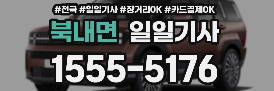 북내면 일일기사