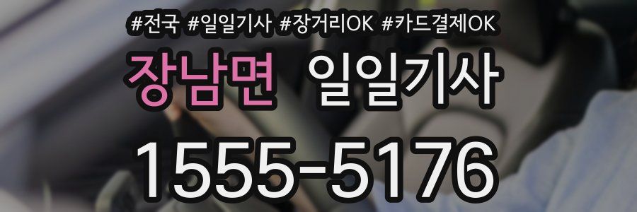 장남면 일일기사