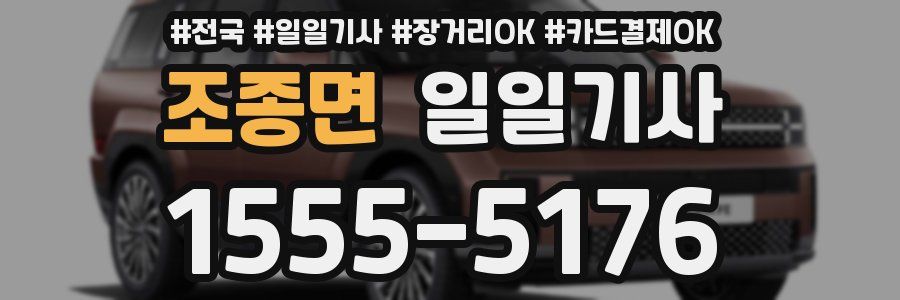 조종면 일일기사