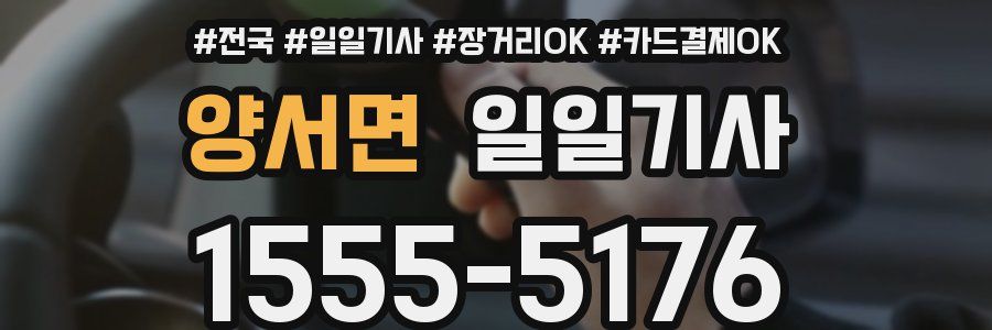 양서면 일일기사