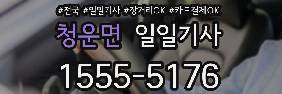 청운면 일일기사