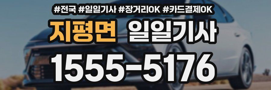 지평면 일일기사