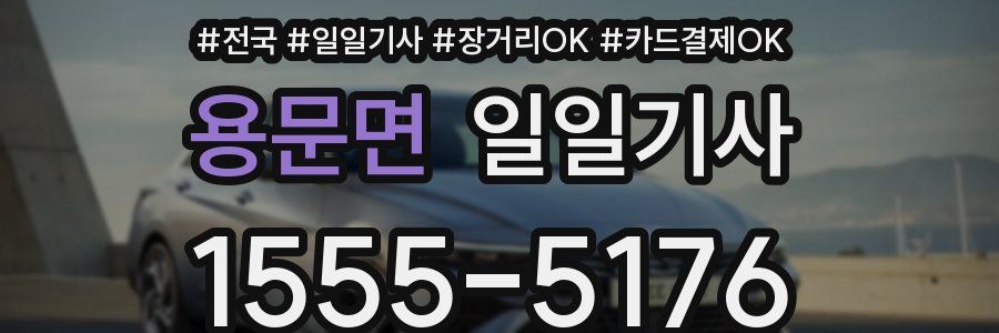 용문면 일일기사