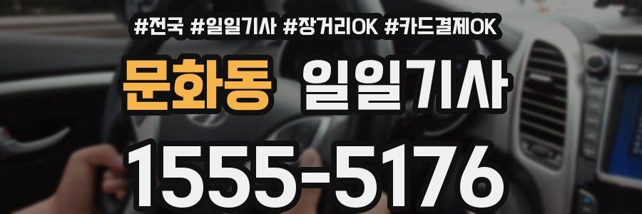 문화동 일일기사