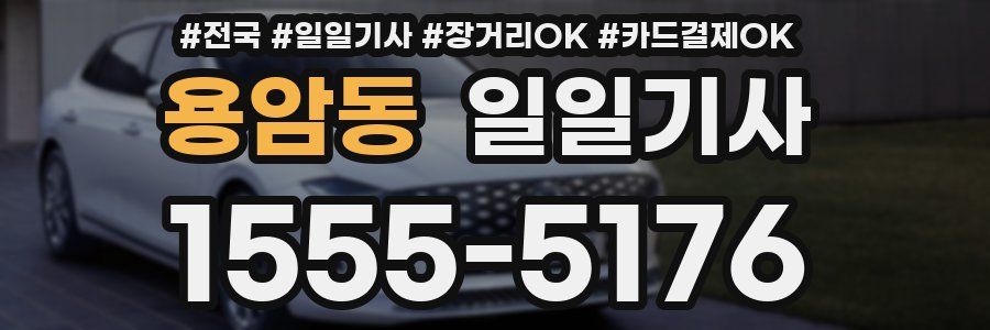 용암동 일일기사