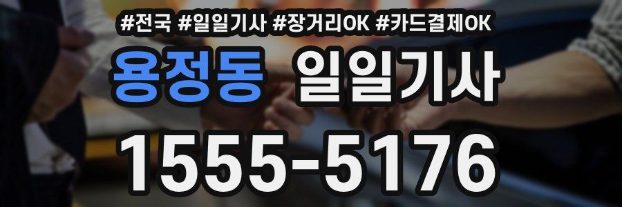 용정동 일일기사