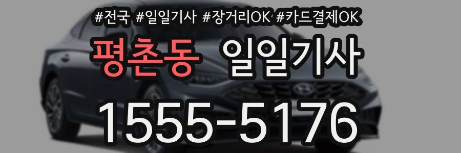 평촌동 일일기사