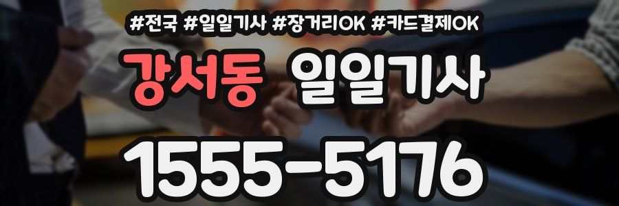 강서동 일일기사