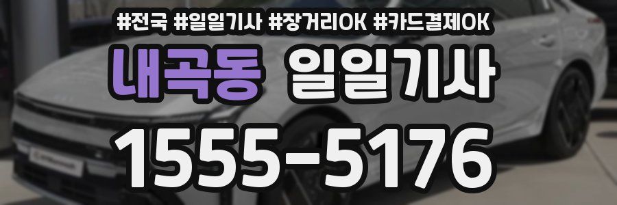 내곡동 일일기사