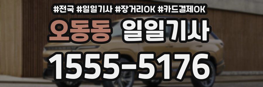 오동동 일일기사