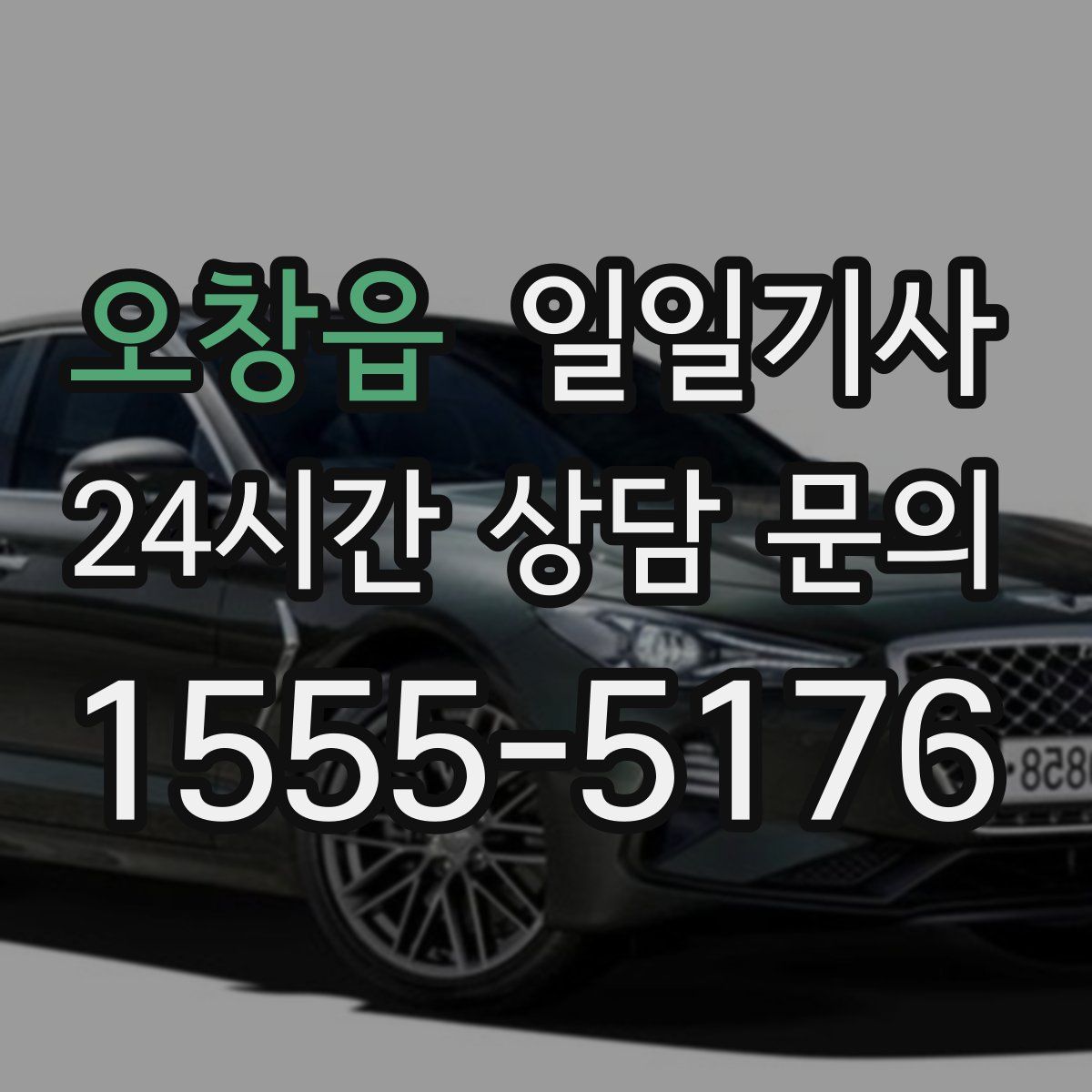 일일기사