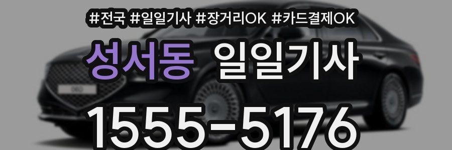 성서동 일일기사