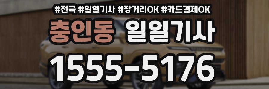 충인동 일일기사