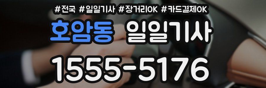 호암동 일일기사