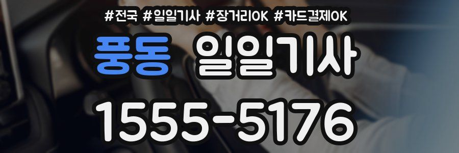 풍동 일일기사
