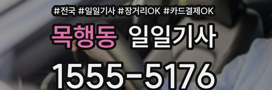 목행동 일일기사