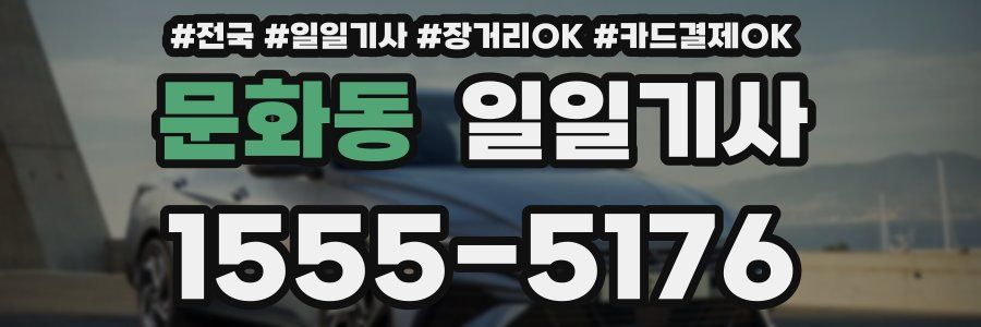 문화동 일일기사