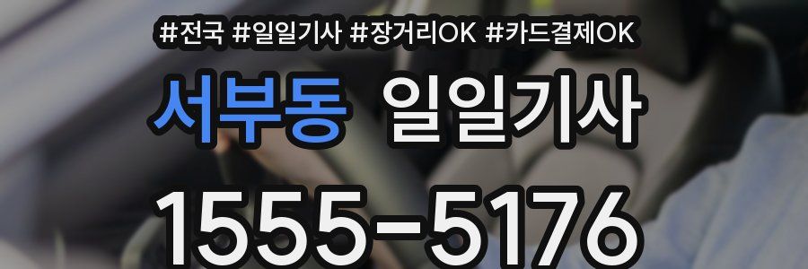 서부동 일일기사