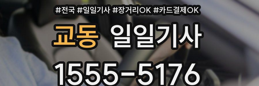 교동 일일기사